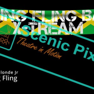 06_SpringFlingBanner