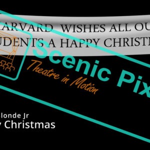 13_ChristmasBanner